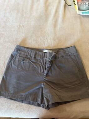 LOFT Olive-Taupe Women's Casual  Shorts